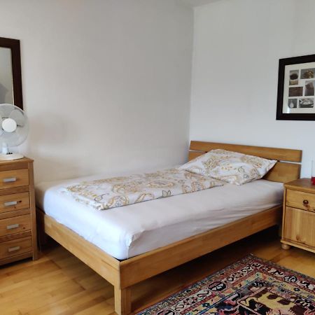 Ferienwohnung-Dachgeschoss Familie Mayer Krems an der Donau Buitenkant foto